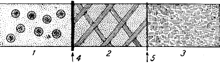 . 44.   . 1 - ; 2 -  ; 3 -  ; 4 -  ,  ; 5 -   