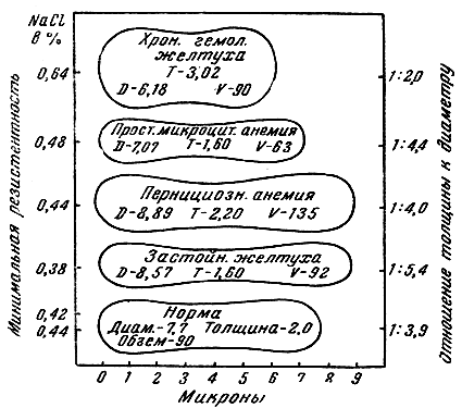 . 84.  (),  ()   (V  3)          (   )
