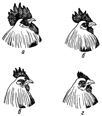 . 154.      .  -   ;  -  25 ;  -  35 ;  -  40   