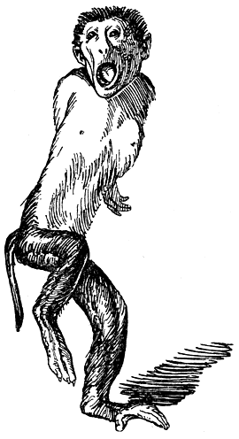 . 163.             ( )