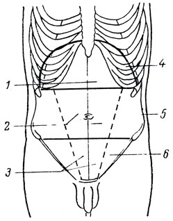 . 4.  . 1 - regio epigastrica; 2 - regio umbilicalis; 3 - regio pubica; 4 - regio hypochondriaca; 5 - regio abdominalis lateralis; 6 - regio inguinalis