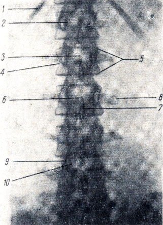 . 18.      32  ( ). 1 - XII ; 2 - I  ; 3 -  ; 4 - '' ; 5 - '' ; 6 - ; 7 -  ; 8 -  ; 9 -   ; 10 -   