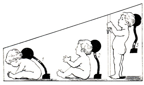 . 23.         (1),   (2)   (3)