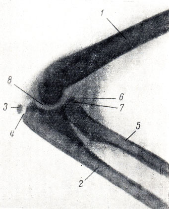 . 44.     9  ( ). 1 -  ; 2 -  ; 3 -   ; 4 -  ; 5 -  ; 6 -   ; 7 -  ; 8 -  