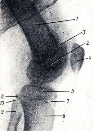 . 57.     13  ( ). 1 -   ; 2 -   ; 3 -  ; 4 - ; 5 -   ; 6 -   ; 7 - '' ; 8 -   ; 9 -   ; 10 -  