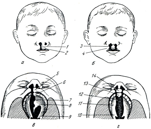 . 150.        .  -    ;  -    ;  -       ;  -       . 1, 3 -       (2, 4) ; 5, 14 -  ; 6, 13 -  ; 7, 12 -   ; 8, 11 -  ; 9, 10 - 