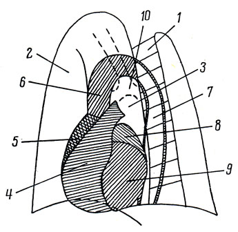 . 215.  -       . 1 - ; 2 -   (); 3 -   ( ); 4 -  ; 5 -  ; 6 -  ; 7 -  ; 8 -  ; 9 -  ; 10 -  