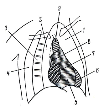 . 216.  -     . 1 -  ; 2 -  ; 3 - ; 4 -  ; 5 -  ; 6 -  ; 7 -  ; 8 -  ; 9 - 