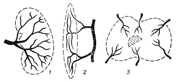 . 237.     ( . . ). ,     . 1 -           (); 2 -   (); 3 - ,  ,   -     ( )