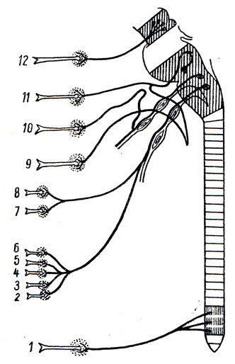 . 340.    .     ,  - . 1 -  :        ,     ,  ,  .  : 2 -  ; 3 -   ; 4 -  ; 5 -  ; 6 -  ; 7 -  ; 8 -   (2 - 8 -       ); 9 -  :     ,     (  );        ; 10 -  :       ;     ; 11 -  :        (  );           ; 12 -  :      ,    ,  ,    