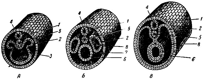 . 37.      (). , ,  -  ; 1 - ; 2 - ; 3 - ; 4 -  ; 5 - ; 6 -  ; 7 -   ; 8 -   