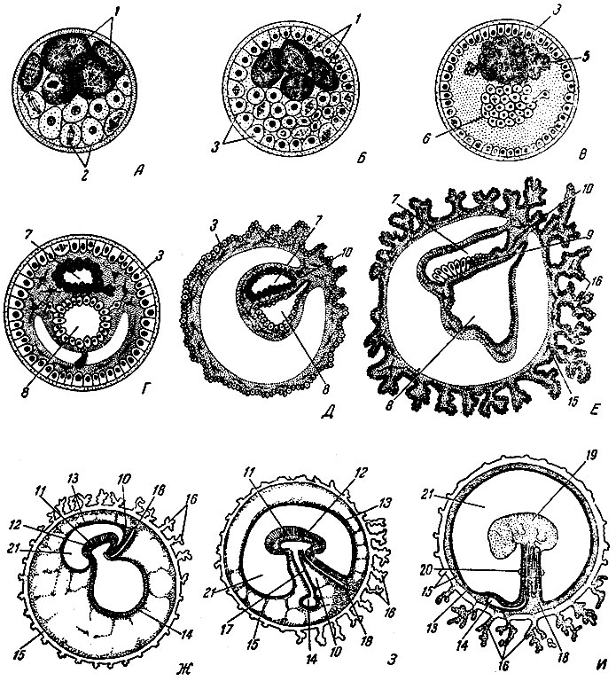 . 40.     . , , , , , , , 3,  -    ; 1 -   ; 2 -   ; 3 - ; 5 - ; 6 - ; 7 -  ; 8 -  ; 9 -  ; 10 -  ; 11 - ; 12 - ; 13 - ; 14 -  ; 15 - ; 16 -  ; 17 -  ; 18 - ; 19 - ; 20 -  ; 21 -  