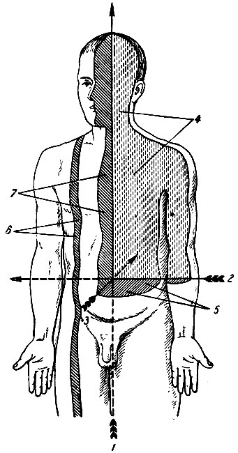 . 44.       . 1 -  ; 2 -  ; 3 -  ; 4 -  ; 5 -  ; 6 -  ; 7 -  (  ) 