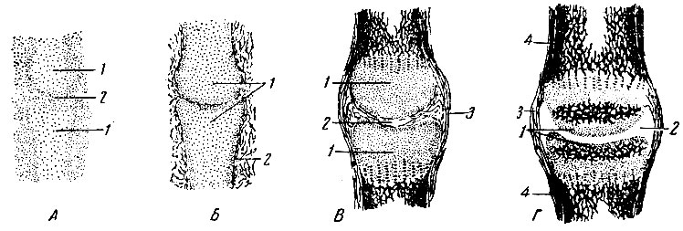 . 54.    . : 1 -   ; 2 -    ; : 1 -   ; 2 - ; : 1 - ; 2 -  ; 3 -  . : 1 -  ,    ; 2 -  ; 3 -  ; 4 - 