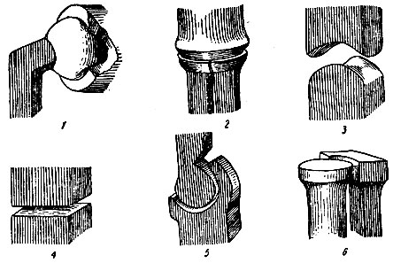 . 56.    (). 1 - ; 2 -   ; 3 - ; 4 - ; 5 - ; 6 - 