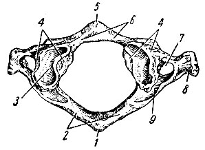 . 61.    ().  . 1 -  ; 2 -  ; 3 -   ; 4 -  ; 5 -  ; 6 -  ; 7 -  ; 8 -  ; 9 -   