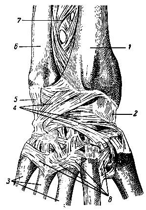 . 79.      ( ). 1 -  ; 2 -    ; 3 - III, IV  V  ; 4 -  ; 5 -    ; 6 -  ; 7 -   ; 8 -   