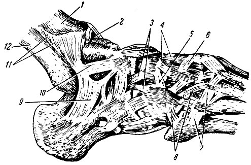 . 92.   (  ). 1 -  ; 2 -  ; 3 -    (  ); 4 -  - ; 5 - -  ; 6 -   ; 7 -   ; 8 -  - : 9 - - ; 10 - -  ; 11 -   -  (); 12 -  