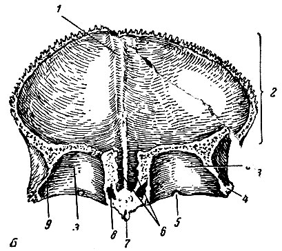 . 98 .   . 1 -    ; 2 -   ; 3 -    ; 4 -  ; 5 -  ; 6 -  ; 7 -  ; 8 -   ; 9 -   