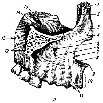 . 108. .    . 1 -  ; 2 -  ; 3 -  ; 4 -  ; 5 -  ; 6 -  ; 7 -  ; 8 -  ; 9 -   ; 10 -  ; 11 -  ; 12 -  ; 13 -   ( ); 14 -  ; 15 -    