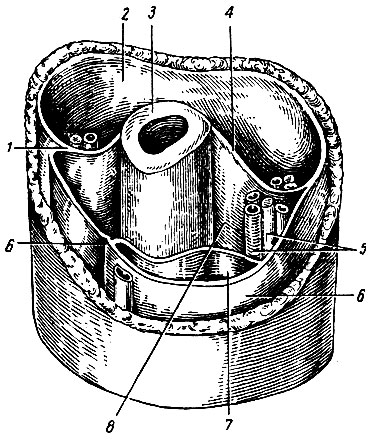 . 119.     . 1 -   ; 2 -    ; 3 -  ; 4 -   ; 5 -     ; 6 -  ; 7 -    ; 8 -   