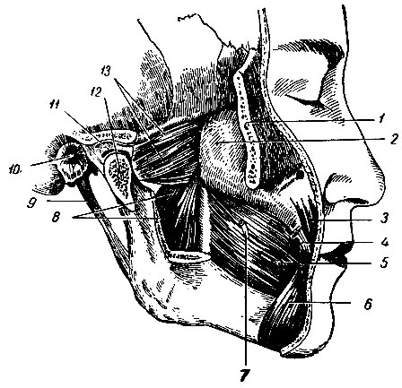 . 124.  . 1 -   (); 2 -  ; 3 - ,   ; 4 -   ; 5 -  ; 6 - ,   ; 7 -   ; 8 -   ; 9 -  ; 10 -   ; 11 -  ; 12 -     (); 13 -   