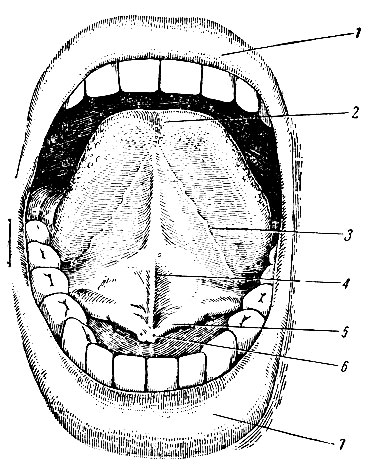 . 172.   . 1 -  ; 2 -  ; 3 -  ; 4 -  ; 5 -  ; 6 -  ; 7 -  