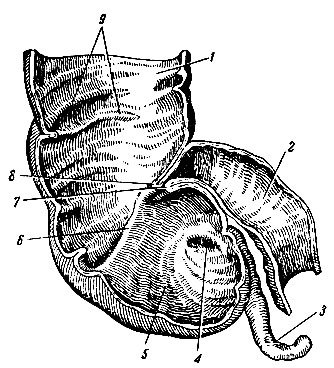  194.      (). 1 -   ; 2 -  ; 3 -  ; 4 -     ,  ; 5 -  ; 6 -  - ; 7  8 -     - ; 9 -  