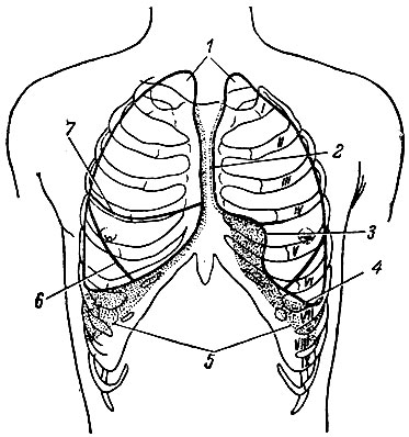 . 207.     (). 1 -  ; 2 -   ; 3 -  ; 4 -   ; 5 -   ; 6  7 -  