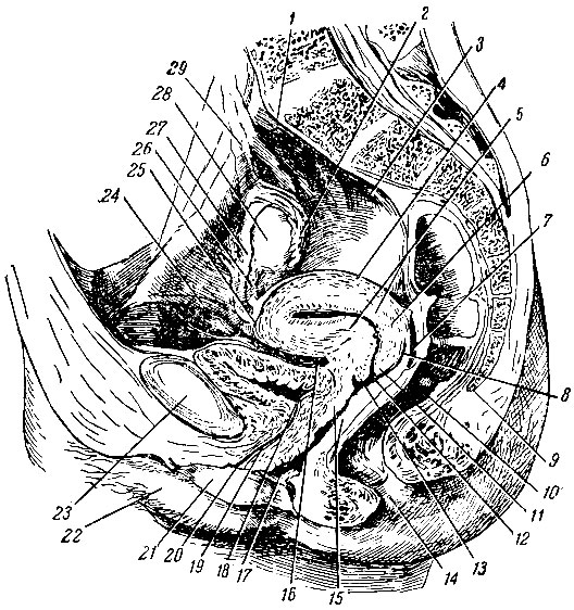 . 214.   ( ). 1 - ; 2 -   ; 3 -  ; 4 -  ; 5 -  ; 6 -  ; 7 - - ; 8 -   ; 9 - ; 10 -  ; 11 -    ; 12 -  ; 13 -    ; 14 -  ; 15 - ; 16 - - ; 17 -  ; 18 -    ; 19 -  ; 20 -    ; 21 -   ; 22 -   ; 23 -  ; 24 -   ; 25 -  ; 26 -   ; 27 -   ; 28 - ; 29 -   