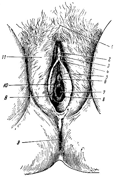 . 216.    . 1 -  ; 2 -   ; 3 -  ; 4 -  ; 5 -   ; 6 -    ; 7 -  ; 8 -     ; 9 -  ; 10 -  ; 11 -   