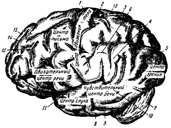 . 259.              . 1 -  ; 2 -  ; 3 -   ; 4 -  ; 5 -  ; 6 -  ; 7 - ; 8 -   ; 9 -   ; 10 -   , 11 -  ; 12 -  ; 13 -   ; 14 -   ; 15 -   