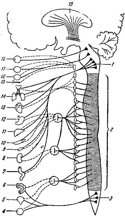 . 264.     .      ,   ,   -       .        . 1 -       ( ); 2 -    ; 3 -         ( ); 4 -  ; 5 -  ; 6 -  ; 7 -  ; 8 - ; 9 - ; 10 -  . 11 - ; 12 - ; 13 - ; 14 - ; 15 -  ; 16  17 -  ; 18 - ; 19 -  