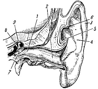 . 280.     ,      . 1 -     ; 2 -     ; 3 - ; 4 - ; 5 - ; 6 - ; 7 -  ; 8 -  ; 9 -  