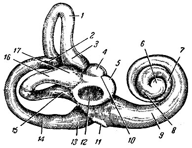 . 282.   . 1 -   ; 2 -  ; 3 - ; 4 -   ; 5 -  ; 6 -  ; 7 -   ; 8 -   ; 9 -  ; 10 -    ; 11 -  ; 12 -  ; 13 -  ; 14 -   ; 15 -   ; 16 -  ; 17 -  