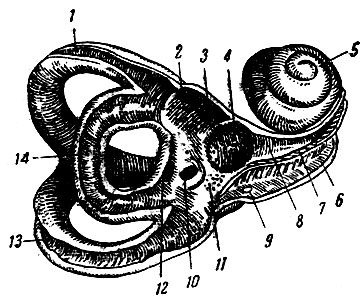 . 283.   . 1 -   ; 2 -   ; 3 - ; 4 -   ; 5 - ; 6 -  ; 7 -   ; 8 -  ; 9 -    ; 10 -  ; 11 - ; 12 -       ; 13 -   ; 14 -   