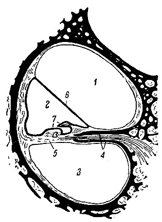 . 285.       . 1 -  ; 2 -   ; 3 -  ; 4 -   ; 5 -   ; 6 -  ; 7 -  