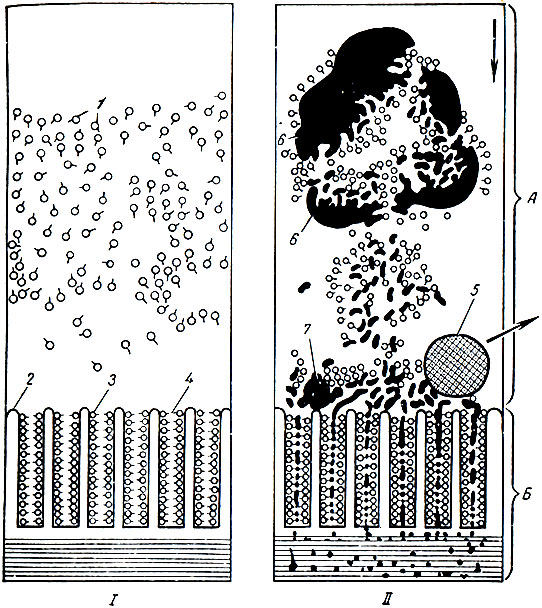 . 34.    ()   ()        (I)     (II). 1 -      ( ); 2 - ; 3 -     ( ); 4 -   ; 5 - ,      ; 6, 7 -      