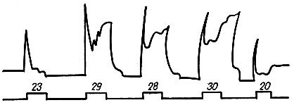 . 63.   . -       43      .   ( 23  20    )    ,     ( 28, 29  30 )     ( . . )
