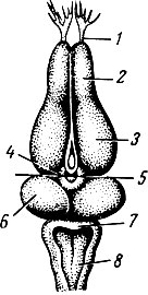 . 74.          . . . 1 -  ; 2 -  ; 3 -  ; 4 -  ; 5 -    ; 6 - ; 7 - ; 8 -  
