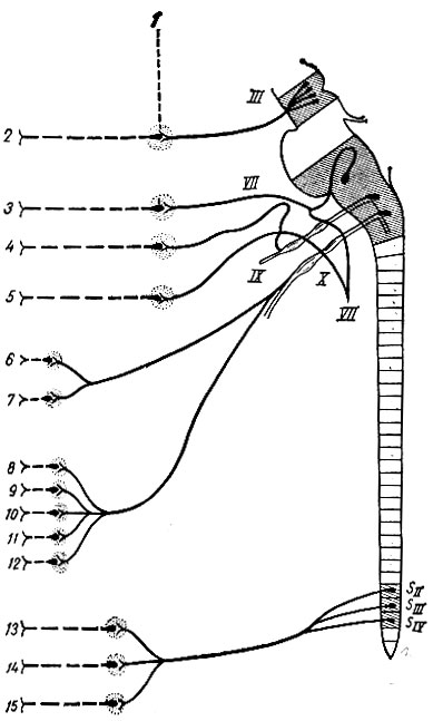 . 81.     ( ).     ,  - . 1 -  ; 2 - ; 3 -  ; 4 -  ; 5 -  ; 6 - ; 7 - ; 8 - ; 9 -  ; 10 - ; 11 -  ; 12 - ; 13 -  ; 14 -  ; 15 -  