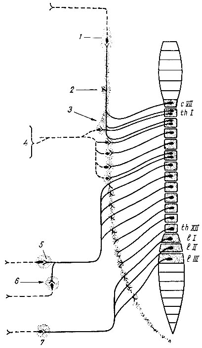 . 82.     ( ).     ,  - . 1 -   ; 2 -   ; 3 -  ; 4 -     ; 5 -  ; 6 -   ; 7 -   