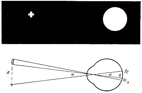 . 93.            .       .      ,       ,       (n),    -    (fc)