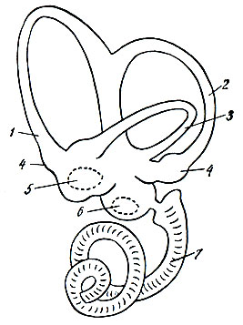 . 96.    . 1, 2, 3 -  ; 4 -   ; 5, 6 - ; 5 - ; 6 -  (    ); 7 - 