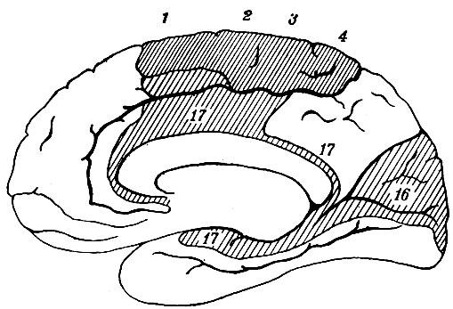 . 112.         . 1, 2, 3, 4, -     (    ); 16 -  ; 17, 17, 17 -  