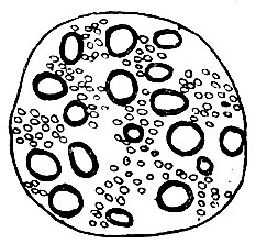 . 226.          (  ,   ).       ,    -  