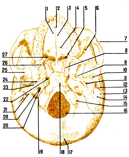 . 35.    : 1 -    ; 2 -  ; 3 -   ; 4 -   ; 5 - ;  -   ; 7 -  ; 8 -  ; 9 -  ; 10 -  ; 11 -  ; 12 -   ; 13 -  , 14 -  ; 15 -    ; 16 -   ; 17 -   ; 18 -  ; 19 -  ; 20 -  ; 21 - - : 22 -  ; 23 -        ; 24 -  ; 25 -  ; 26 -   ; 27 -   