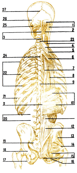 . 59.  ( ): 1 -   ; 2 -   ; 3 -  ; 4 -   ; 5 -   ; 6 - ; 7 - ; 8 - -; 9 - ; 10 -   ; 11 -  - ; 12 - ,  ; 13 -  ; 14 - ; 15 -  ; 16 -  ; 17 -  ; 18- ; 19 -     ; 20 -  ; 21 - 10- ; 22 -  ; 23 -   7-  ; 24 -  ; 25 - ; 26 -   ; 27 -   