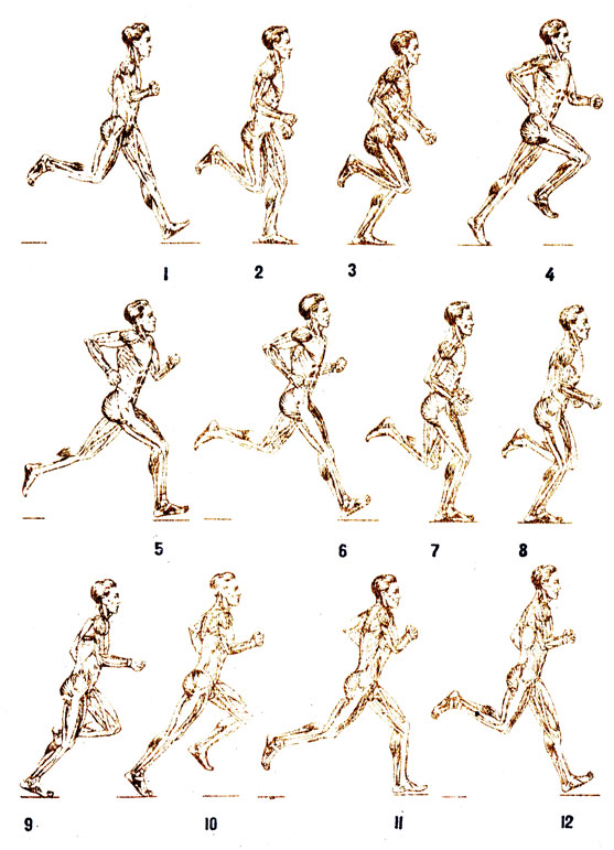 . 75.  : 1.5, 6, 11, 12 -    ; 2, 3, 4 -     ; 7, 8, 9, 10 -     