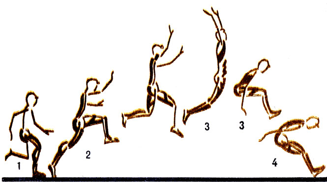 . 79.        : 1, 2 -  , 3 -  , 4 -  